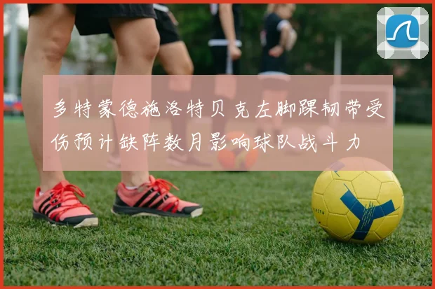 多特蒙德施洛特贝克左脚踝韧带受伤预计缺阵数月影响球队战斗力