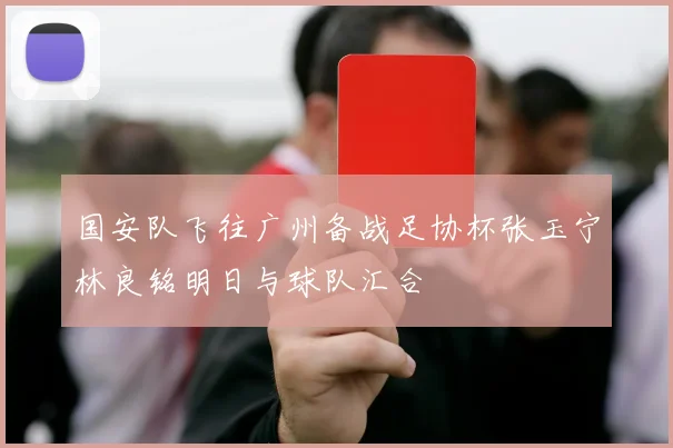 国安队飞往广州备战足协杯张玉宁林良铭明日与球队汇合