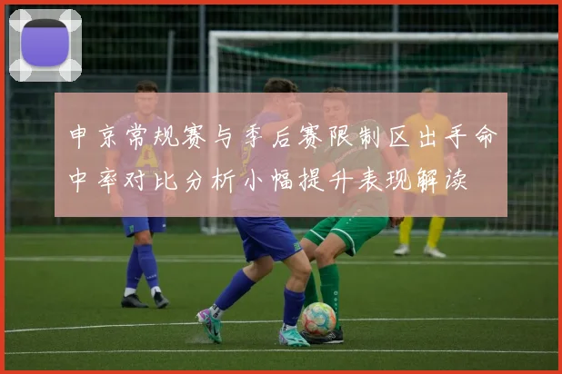 申京常规赛与季后赛限制区出手命中率对比分析小幅提升表现解读